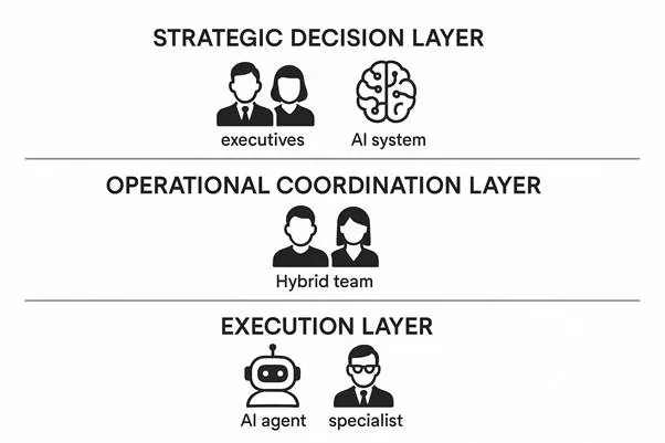 Three-Layer Organization